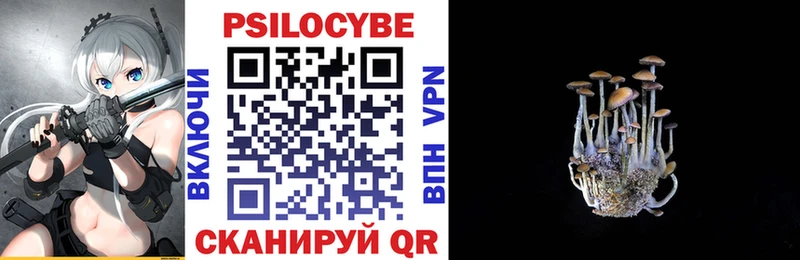 где купить наркоту Высоковск Галлюциногенные грибы мухоморы